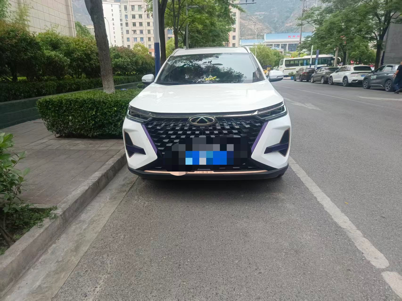 Chery 2024 Tiggo 8 PRO 2.0T 390T Champion Edition 2WD Peak 5-Seater