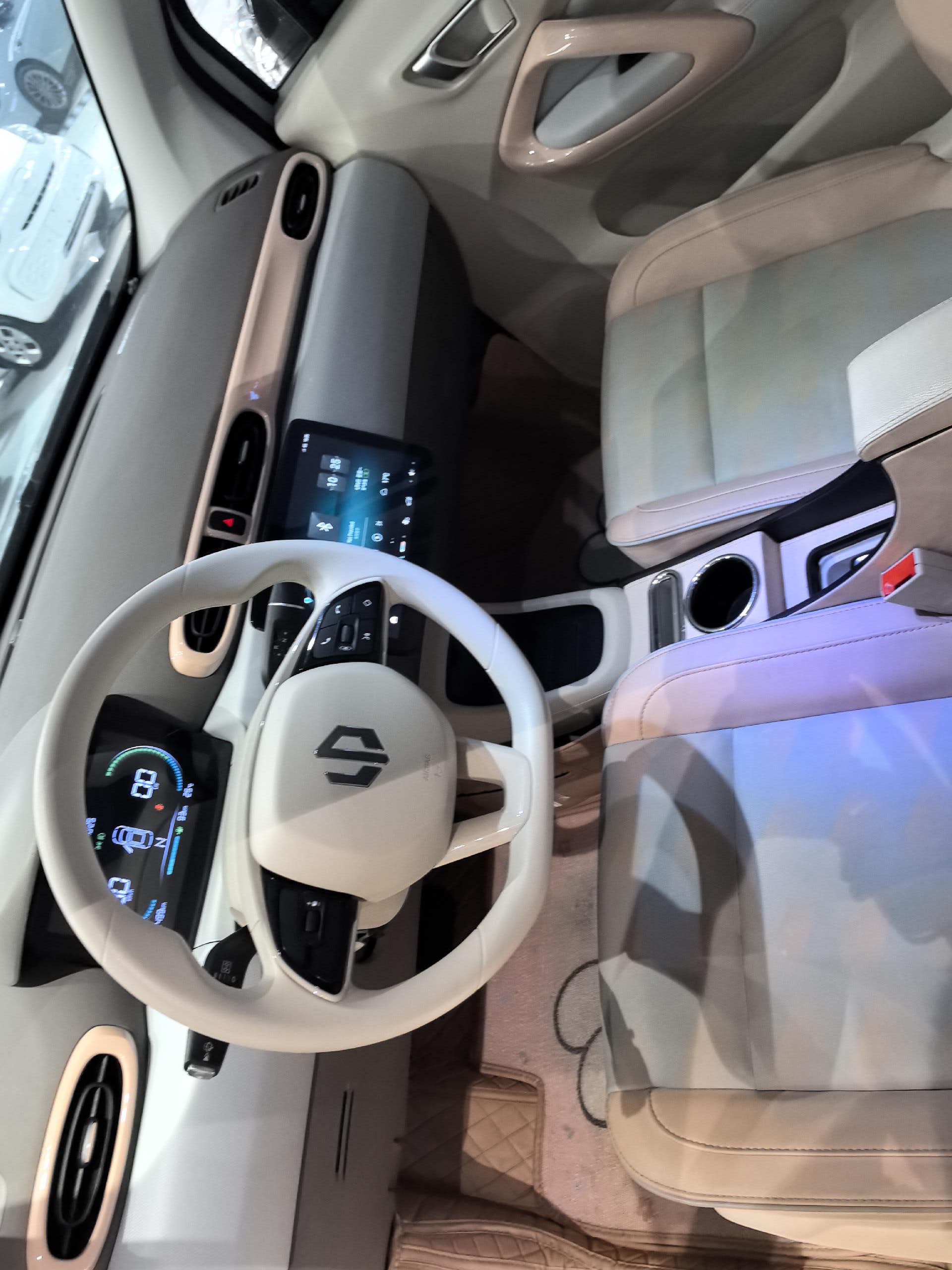 Leapmotor 2023 T03 310 Fenxiang Edition