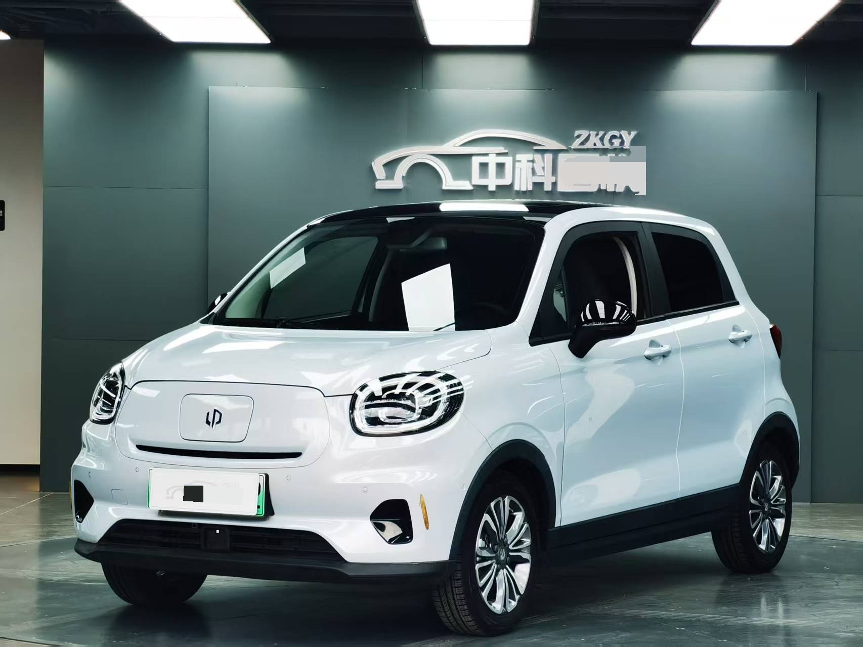 Leapmotor 2021 T03 400 Luxury Pro