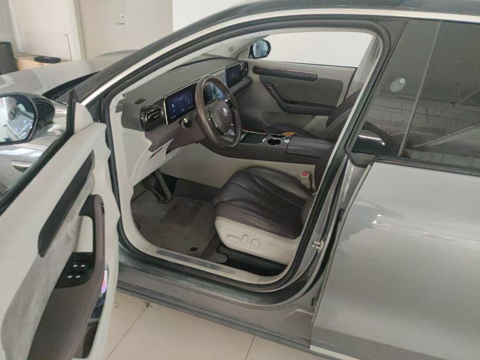 Leapmotor 2021 C11 Luxury Edition