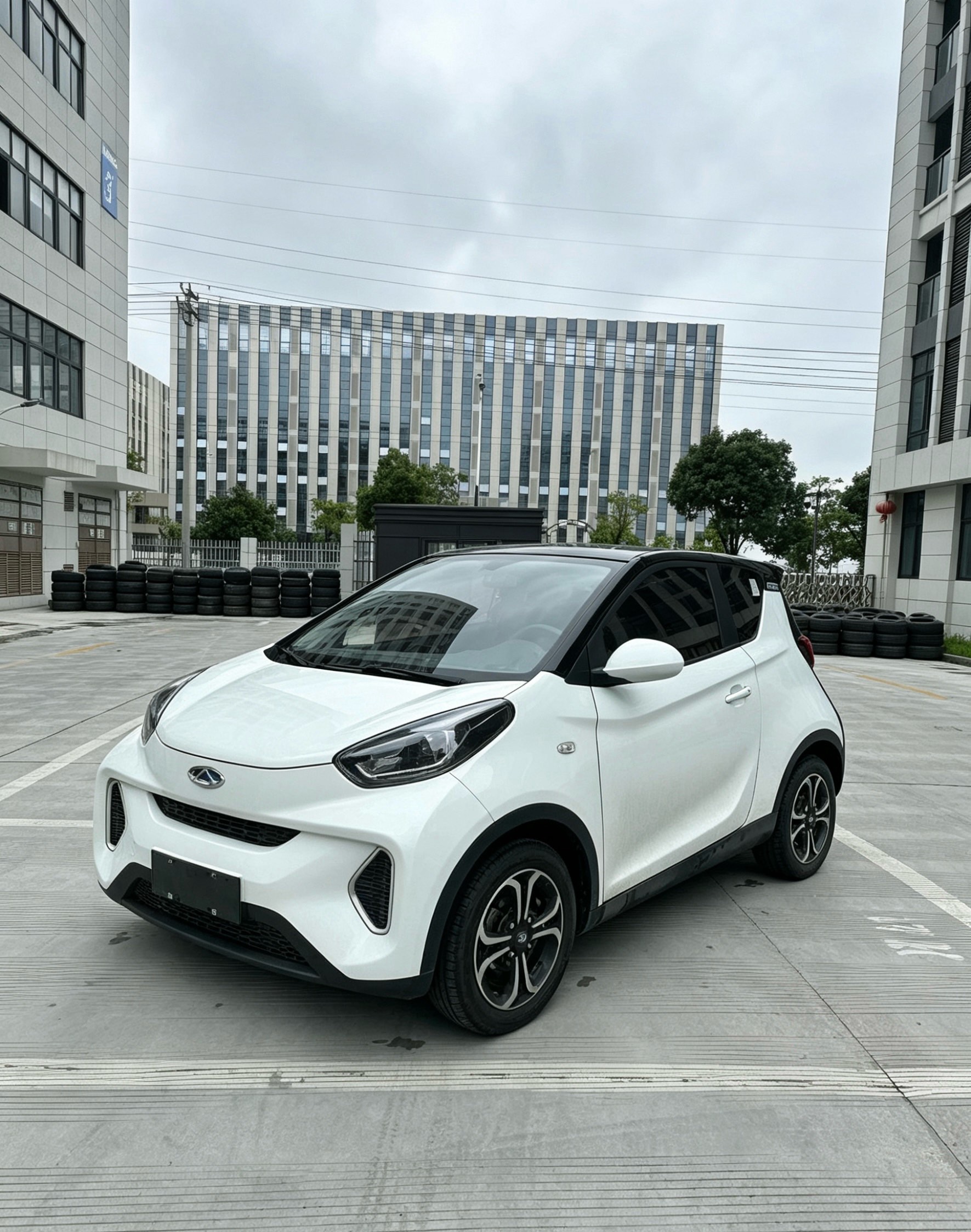 Chery 2021 eQ1 150,000 Ant Powder Edition Ant Xuan Edition LFP