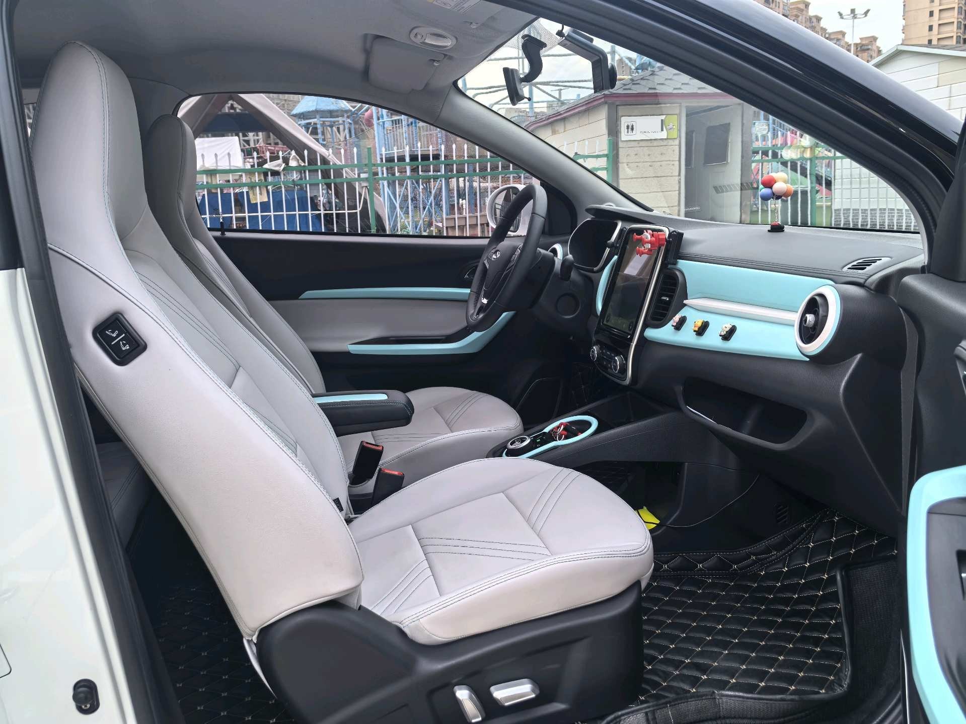 Chery 2021 eQ1 200,000 Ant Powder Edition Oxygen Version Ternary Lithium 301km