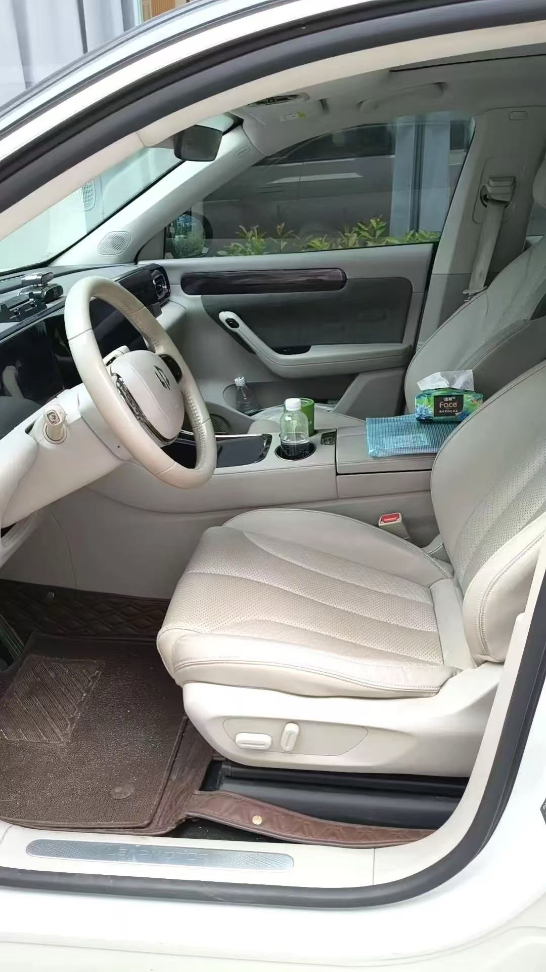 Leapmotor 2021 C11 Luxury Edition