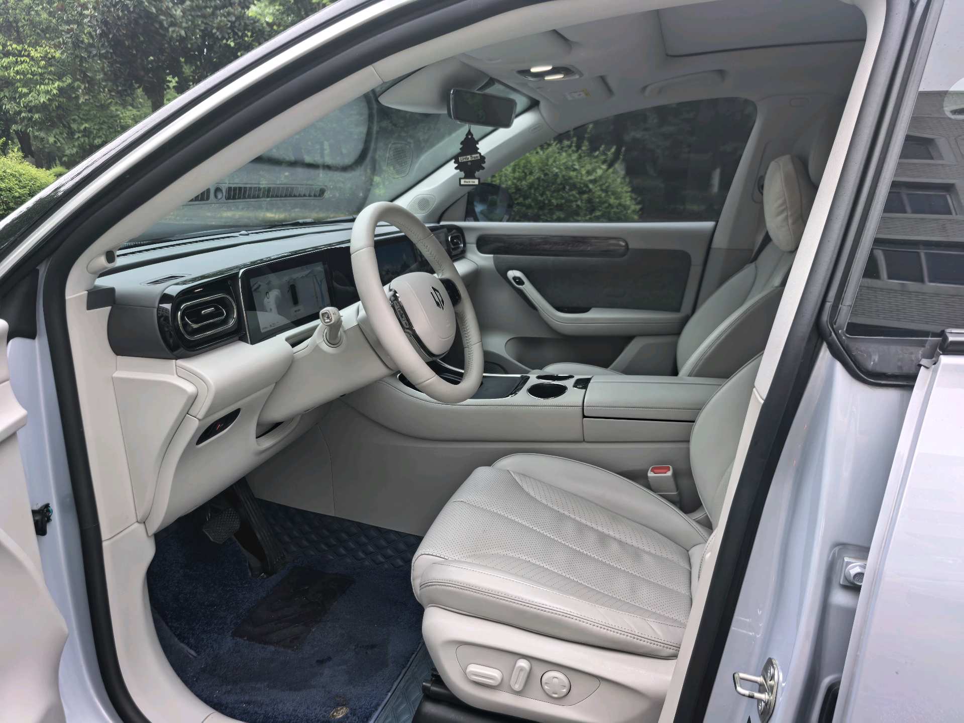 Leapmotor 2021 C11 Premium