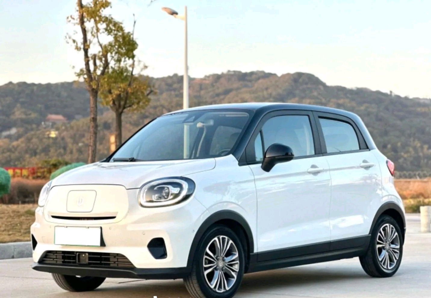 Leapmotor 2022 T03 Liuli Edition
