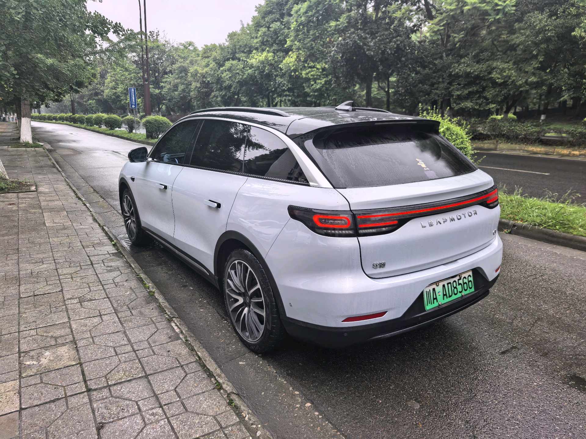 Leapmotor 2021 C11 Premium