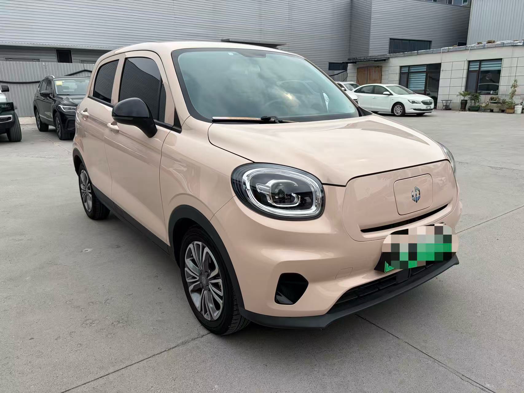 Leapmotor 2021 T03 400 Weitang Edition