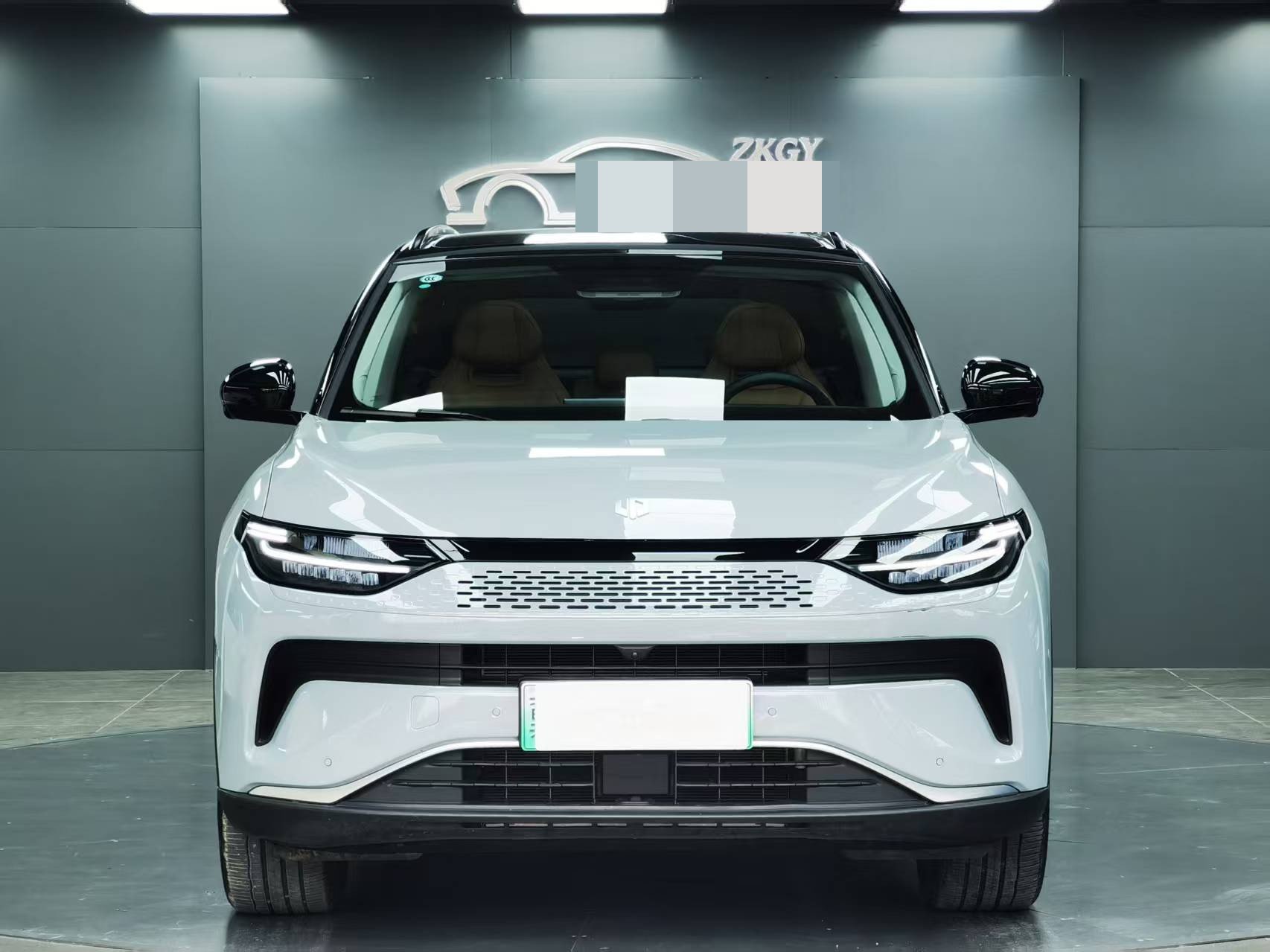 Leapmotor 2024 C11 300 Deluxe Edition