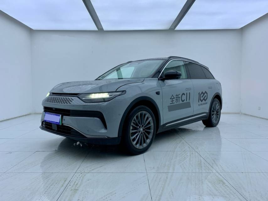 Leapmotor 2024 C11 300 Deluxe Edition