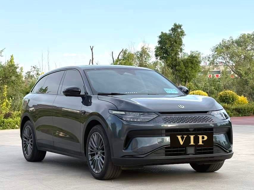 Leapmotor 2024 C11 300 Zhixiang Edition