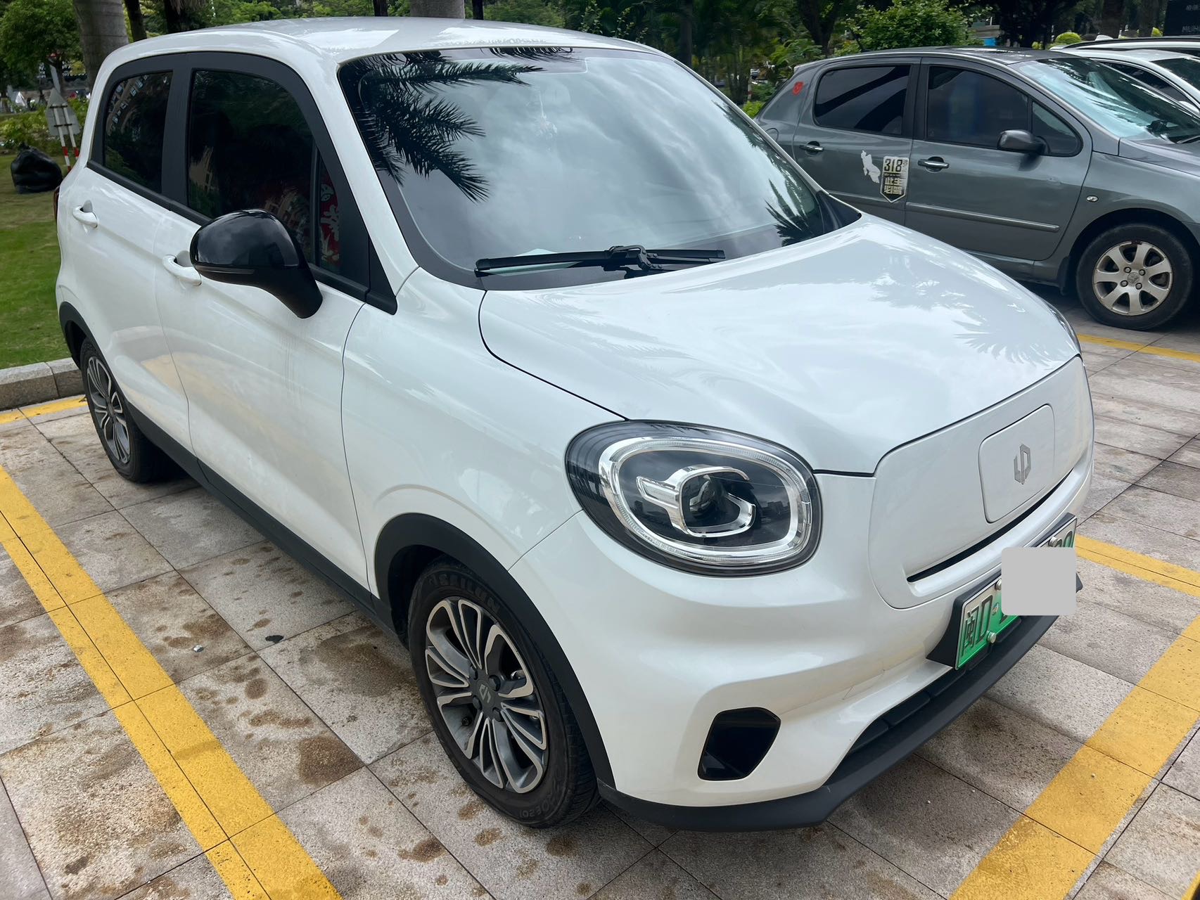 Leapmotor 2022 T03 Liuli Edition