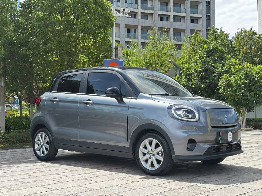 Leapmotor 2022 T03 Haoyu Edition