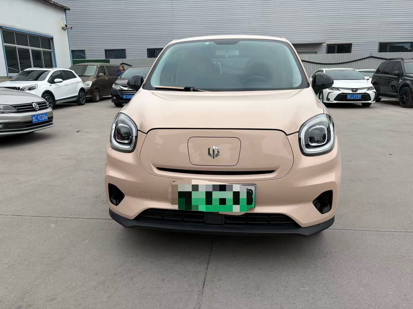 Leapmotor 2021 T03 400 Weitang Edition