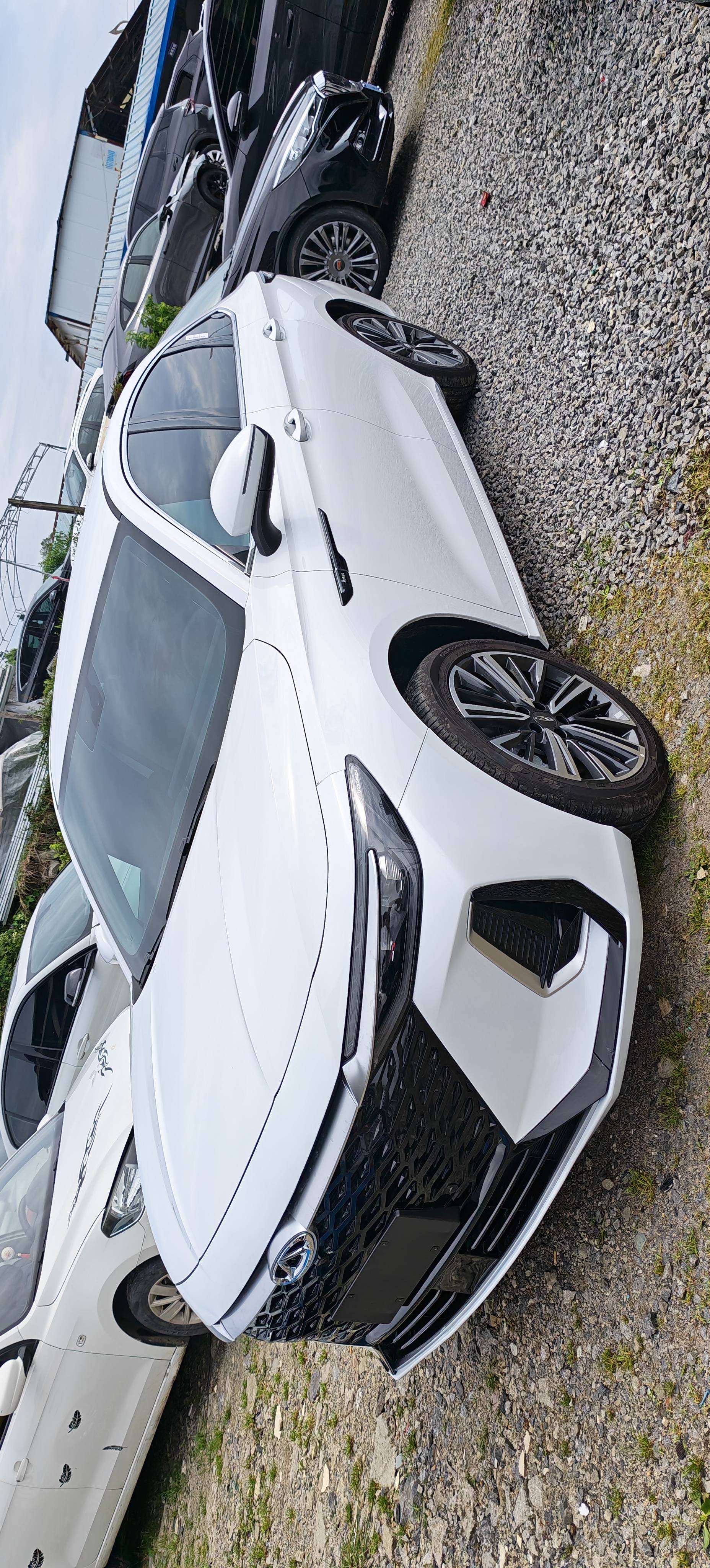 Chery 2025 Arrizo 8 1.6T Excellence Edition