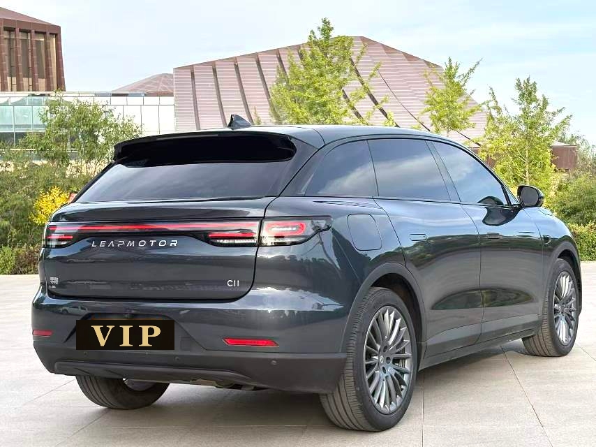 Leapmotor 2024 C11 300 Zhixiang Edition
