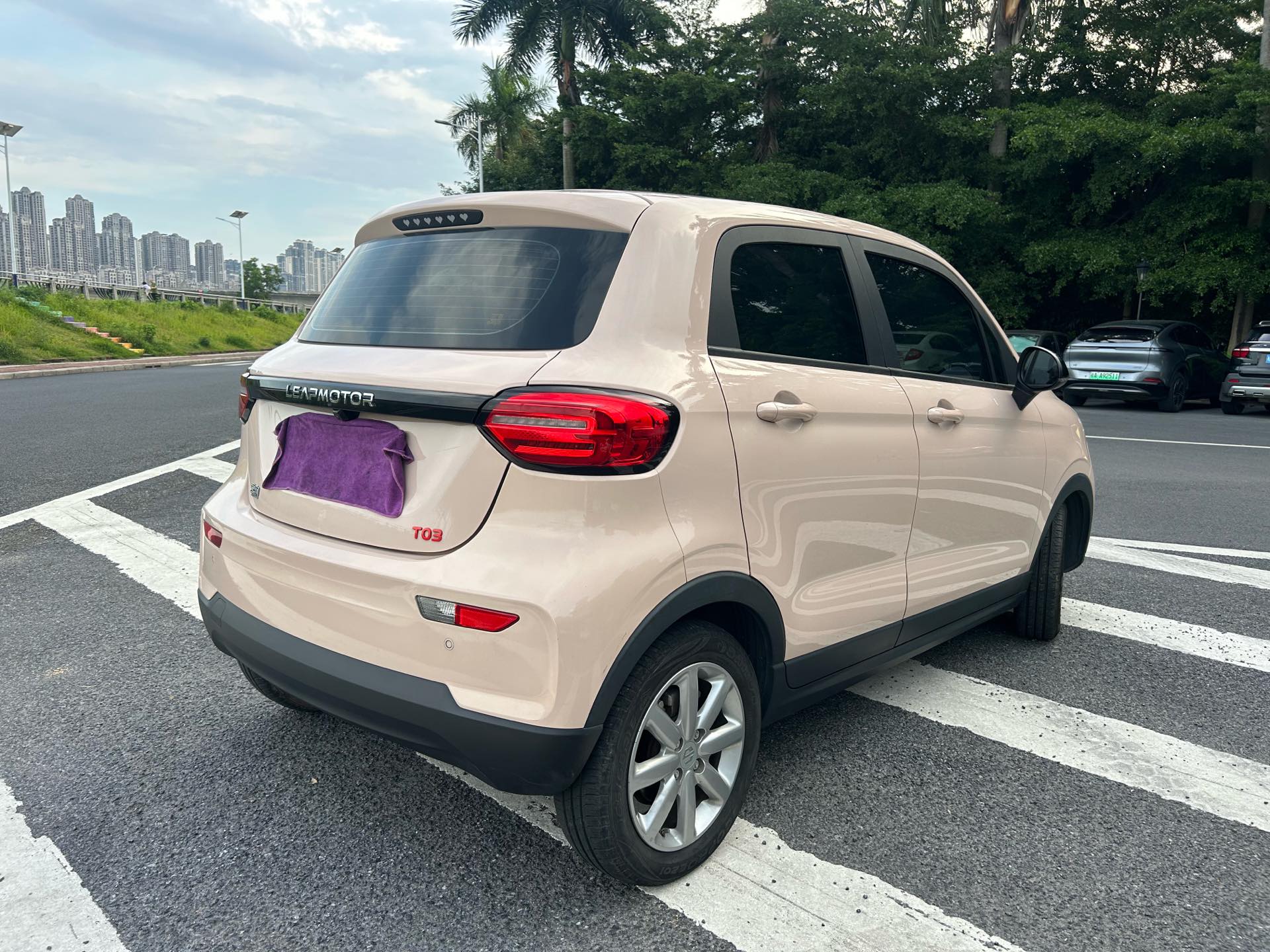 Leapmotor 2022 T03 Xingzuan Edition