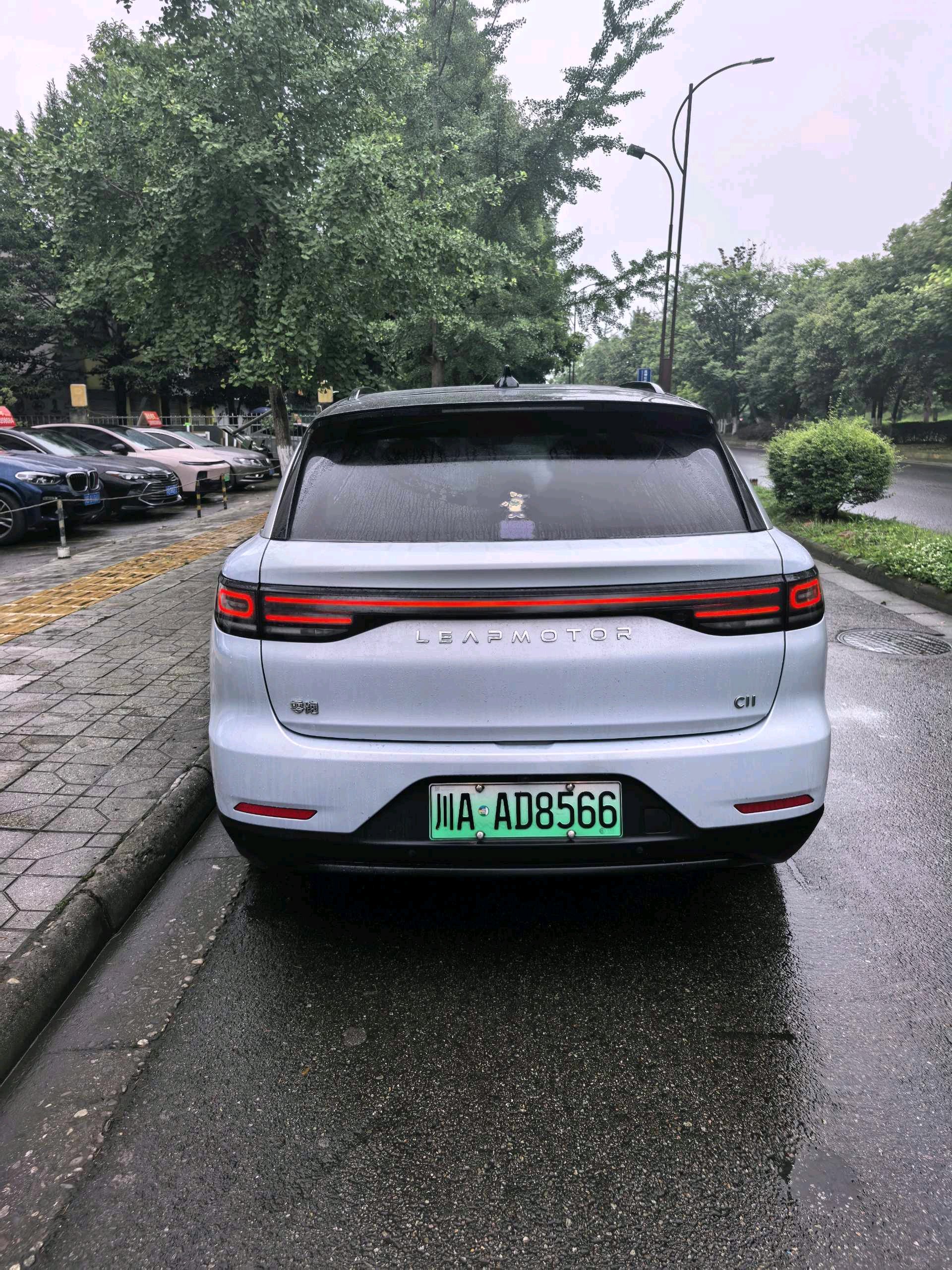 Leapmotor 2021 C11 Premium