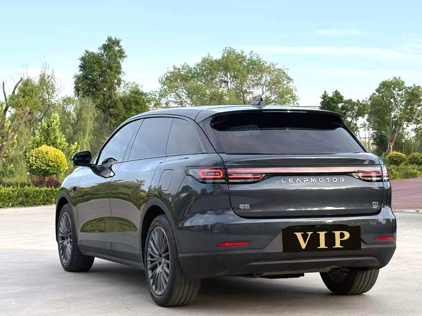 Leapmotor 2024 C11 300 Zhixiang Edition