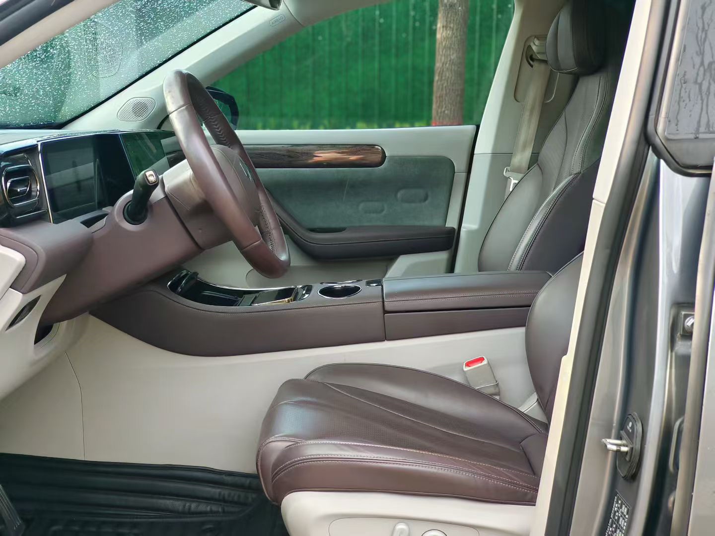 Leapmotor 2021 C11 Premium Edition