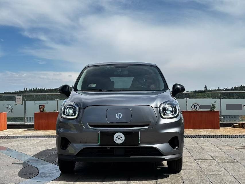 Leapmotor 2022 T03 Haoyu Edition