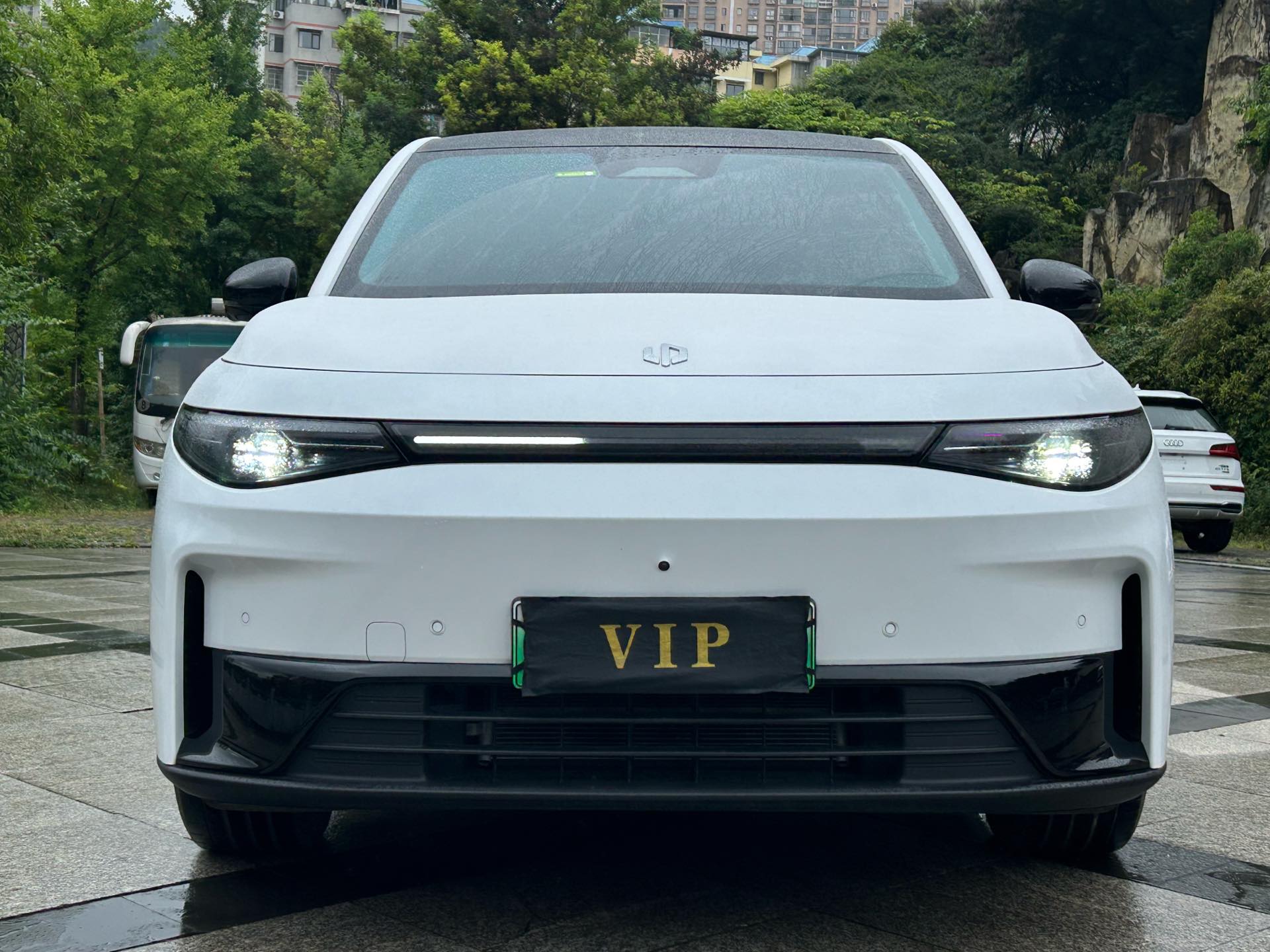 Leapmotor 2024 C10 530 Smart Edition