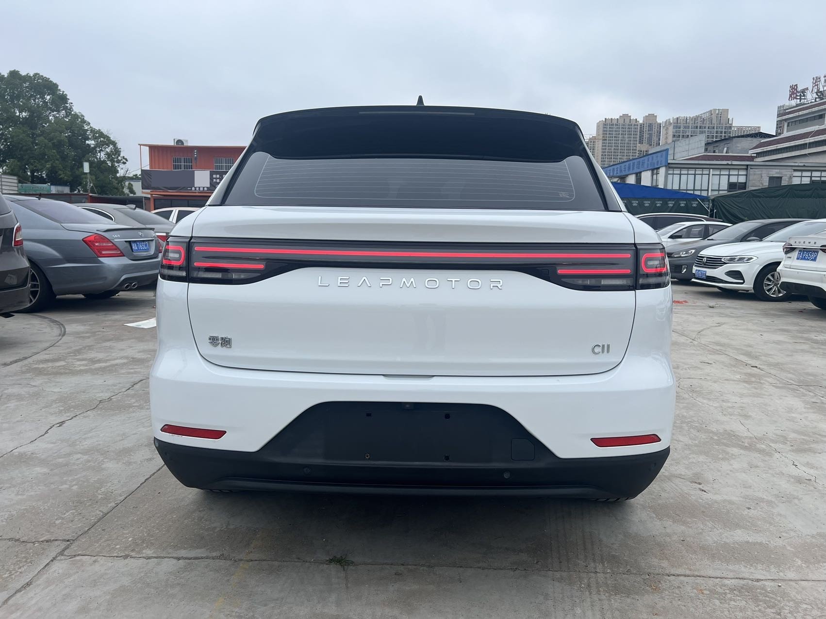 Leapmotor 2021 C11 Luxury Edition
