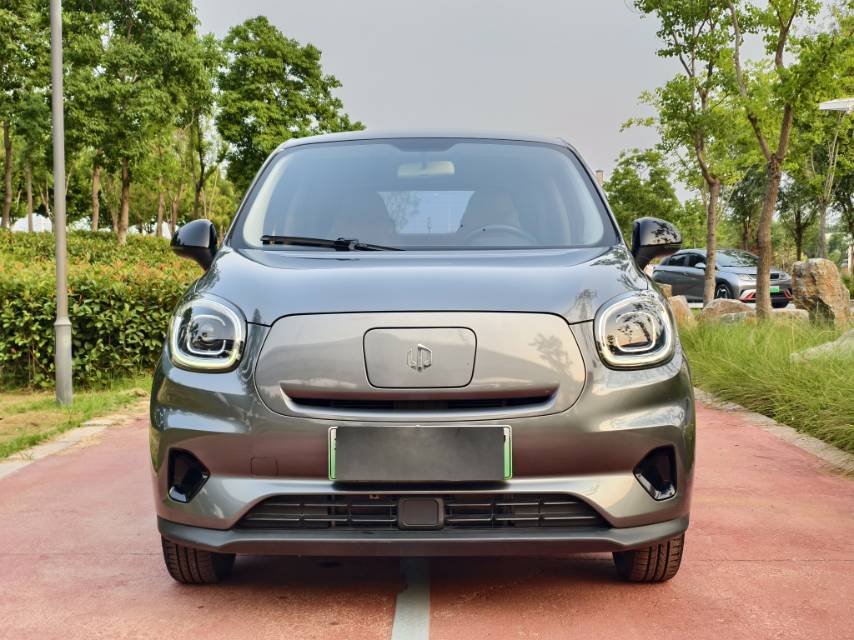 Leapmotor 2021 T03 400 Lite Edition Ternary Lithium