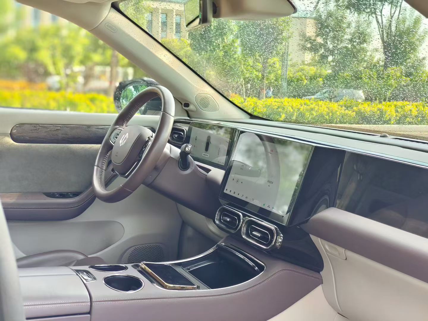 Leapmotor 2021 C11 Premium Edition
