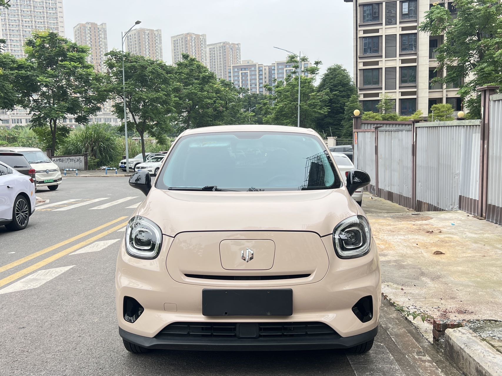 Leapmotor 2022 T03 Liuli Edition