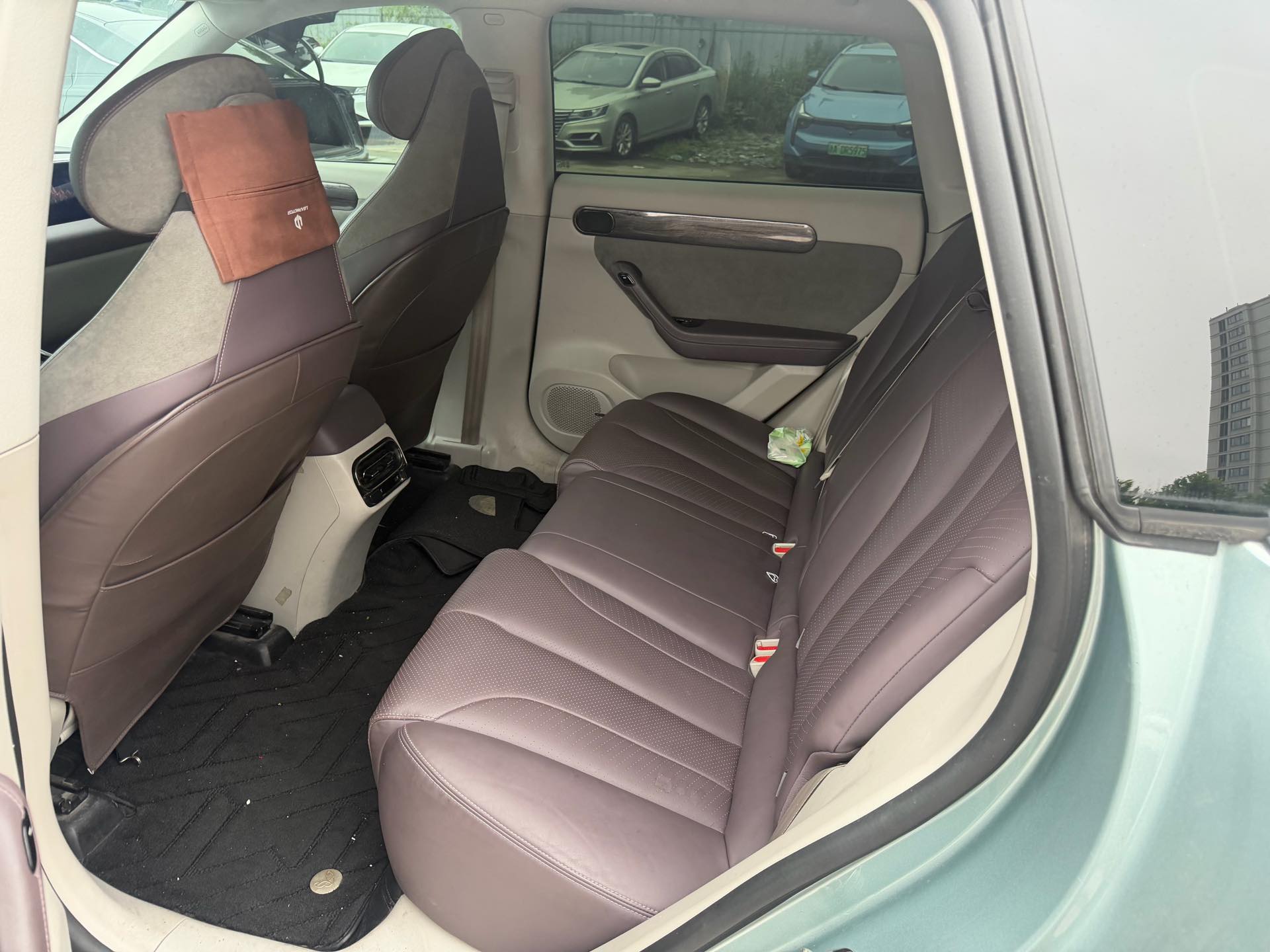 Leapmotor 2021 C11 Premium