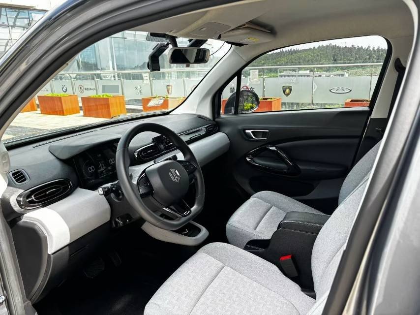 Leapmotor 2022 T03 Haoyu Edition