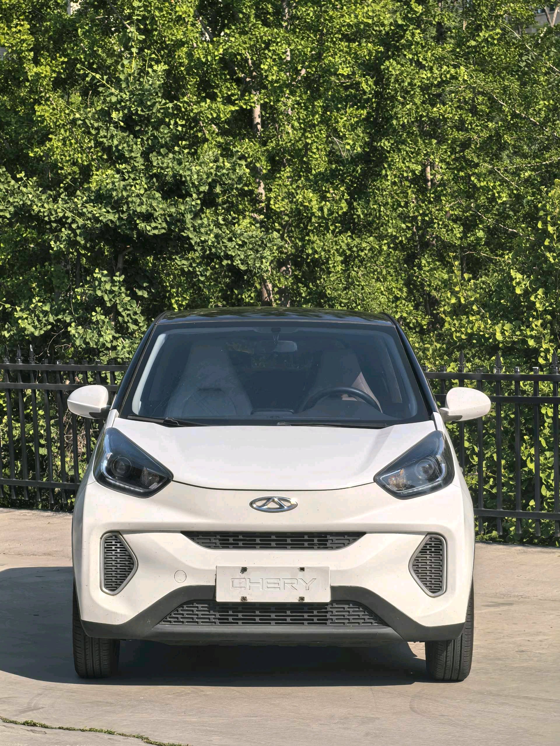 奇瑞 2021款 eQ1 20万蚁粉款 才气版 磷酸铁锂 301km