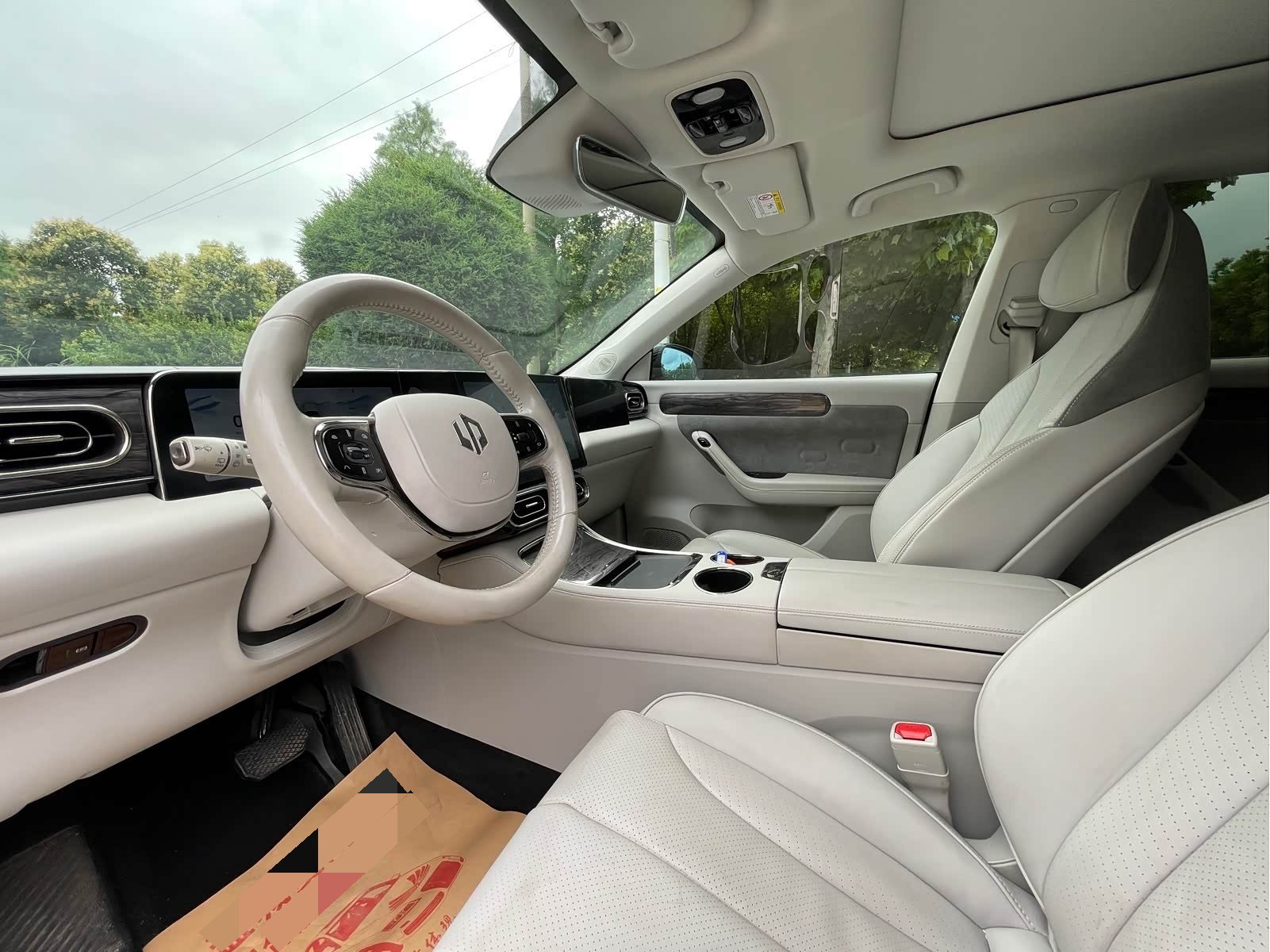 Leapmotor 2021 C11 Industry Edition