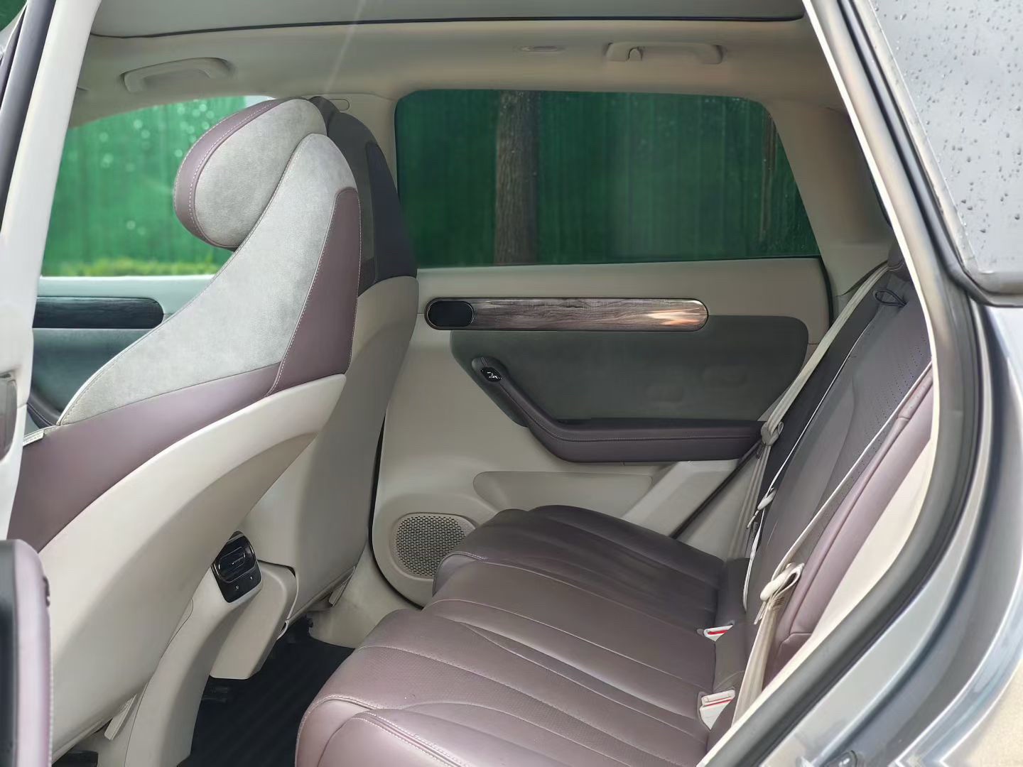 Leapmotor 2021 C11 Premium Edition