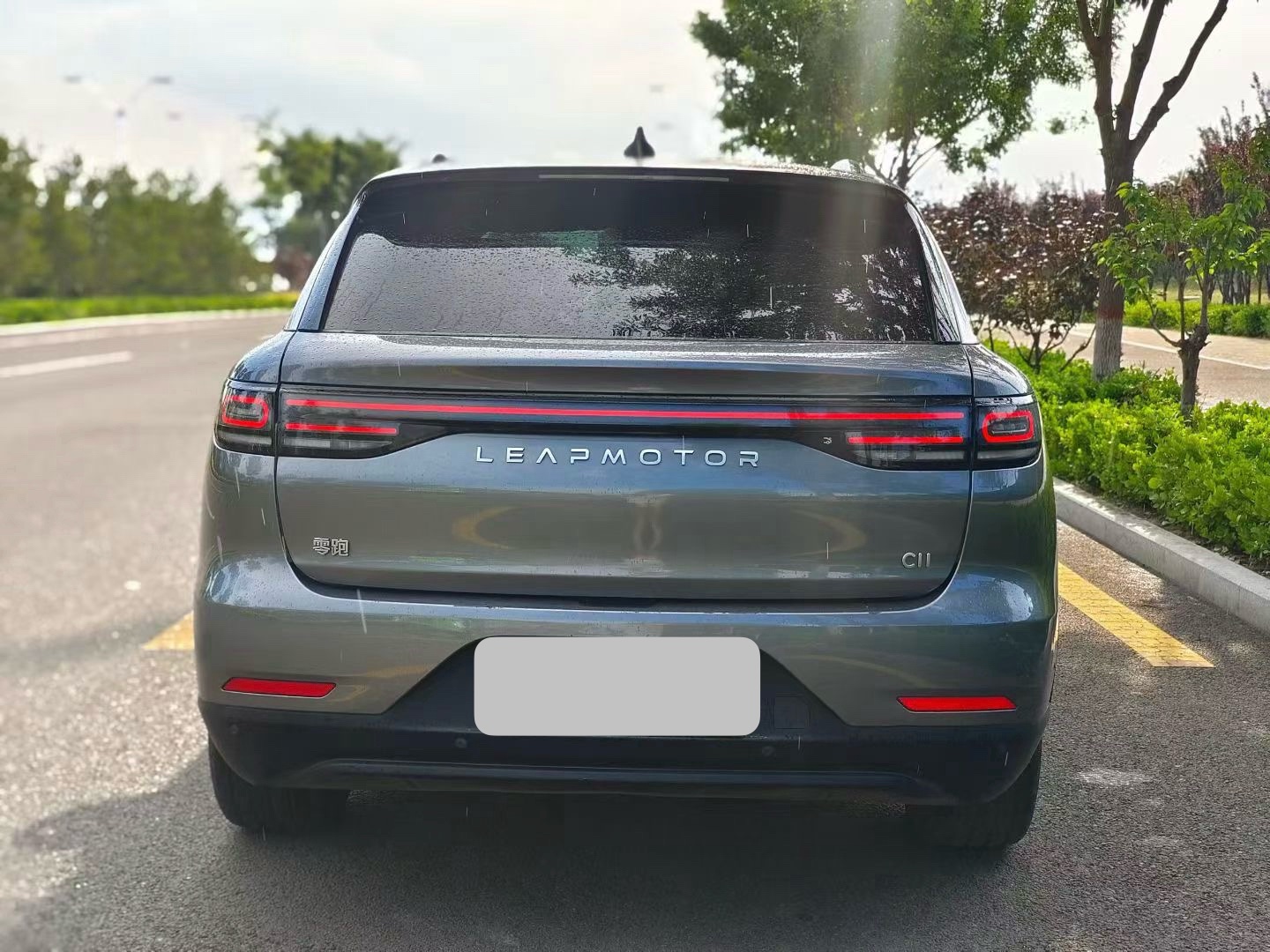 Leapmotor 2021 C11 Premium Edition