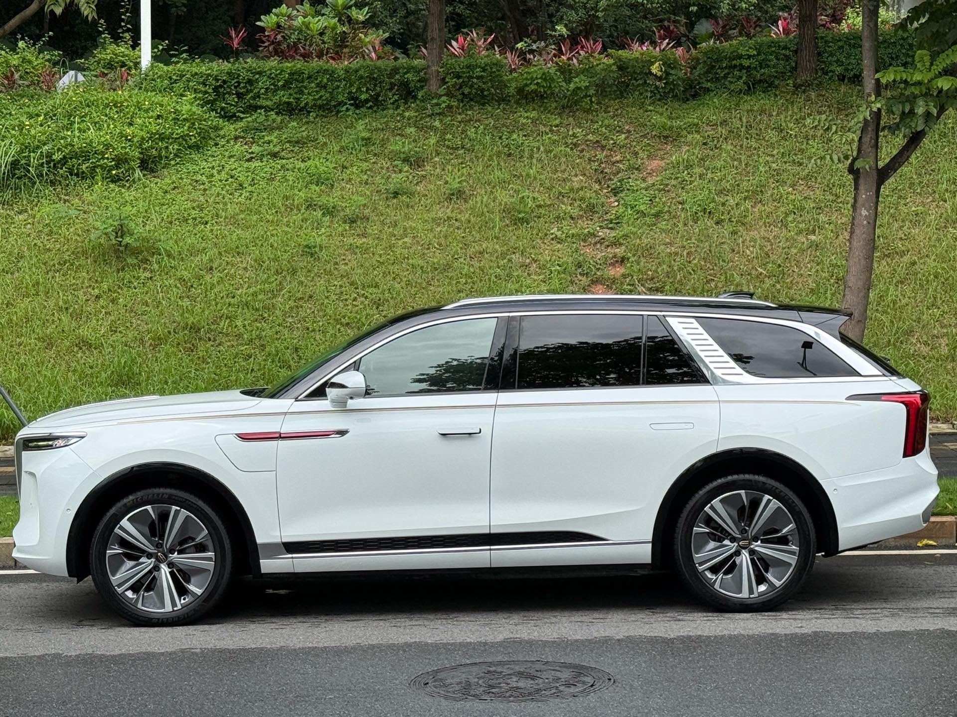 红旗 2021款 E-HS9 旗·畅6座