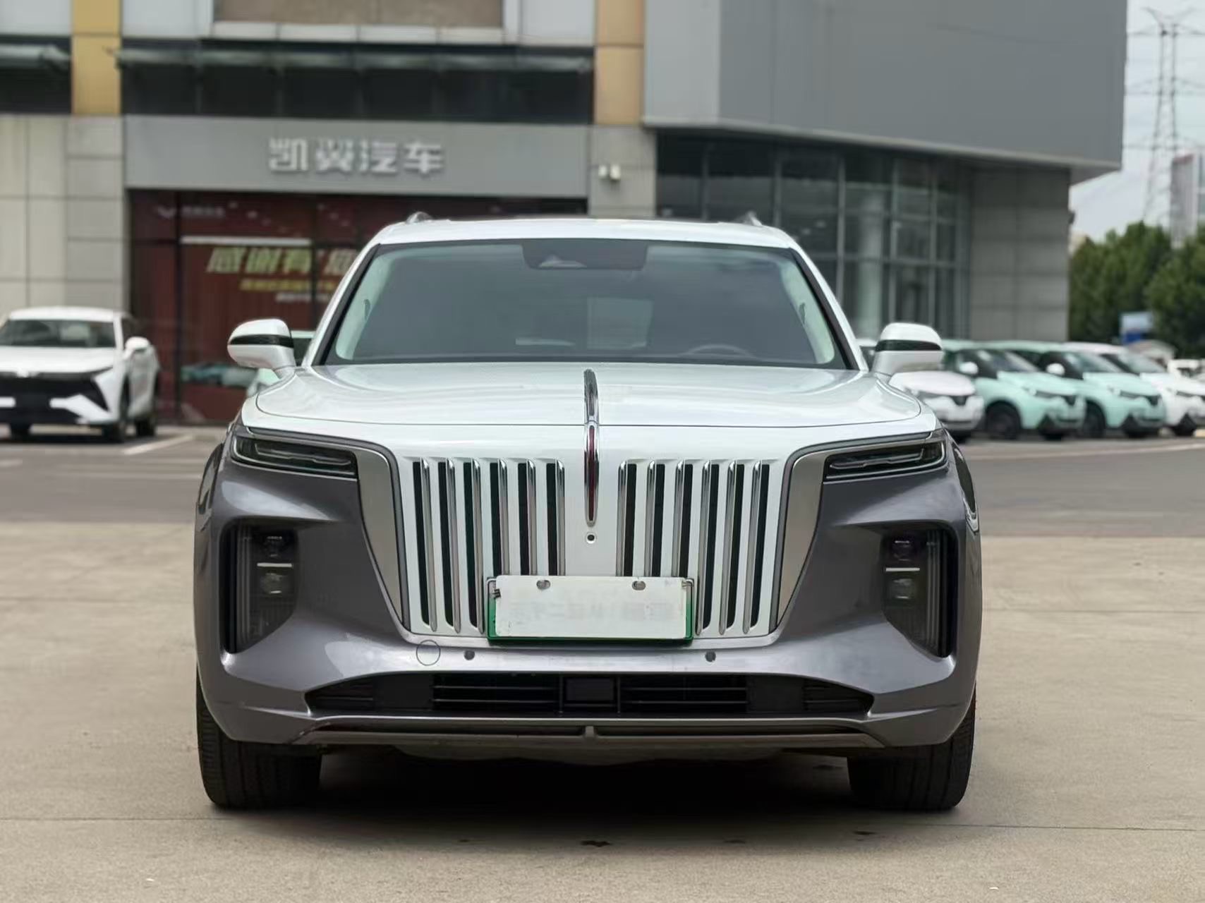 Hongqi E-HS9 2022 660km Flagship 4-Seater