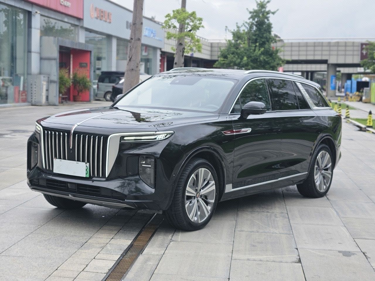 红旗 2022款 E-HS9 690km 旗享版6座
