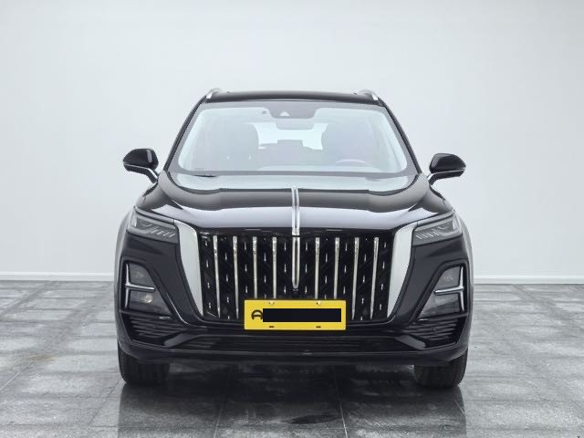红旗 2023款 HS5 2.0T 旗悦Pro版