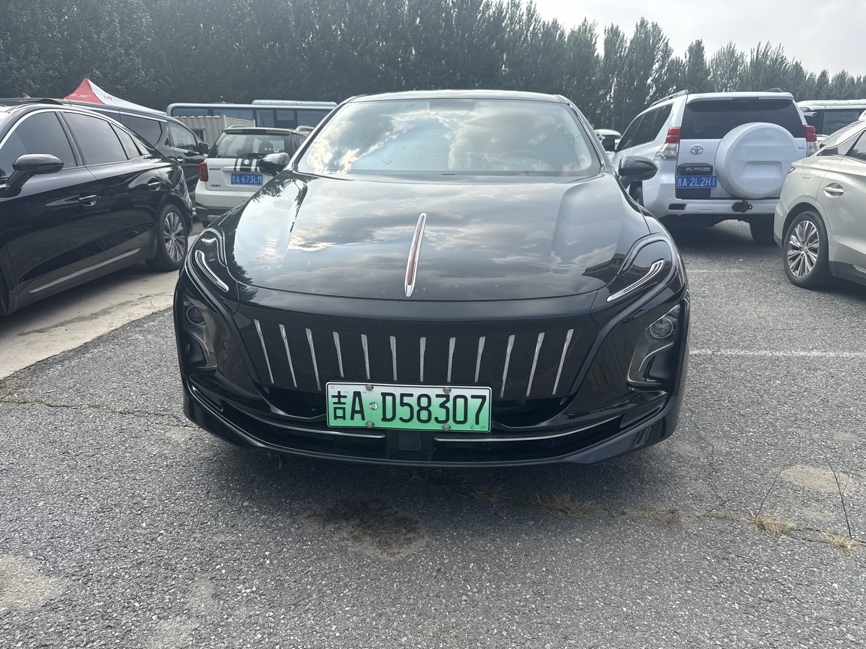 Hongqi E-QM5 2022 431km Battery Swap Joy Edition