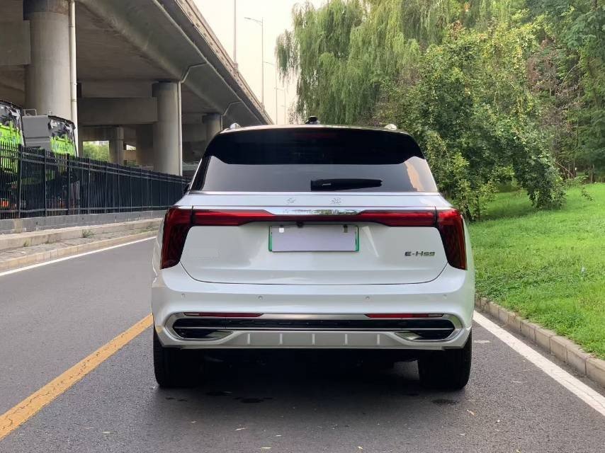 红旗 2022款 E-HS9 690km 旗享版6座