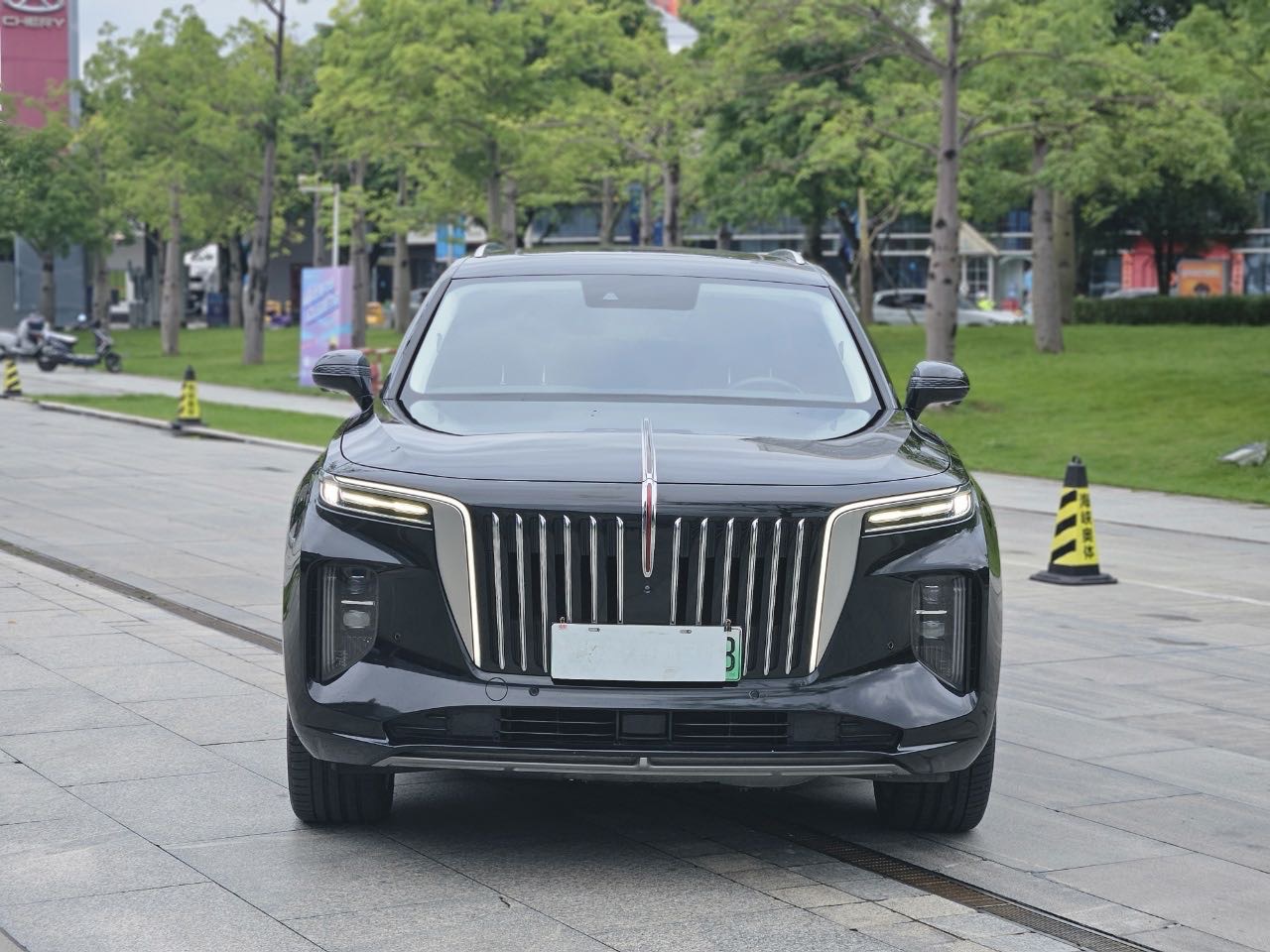 红旗 2022款 E-HS9 690km 旗享版6座