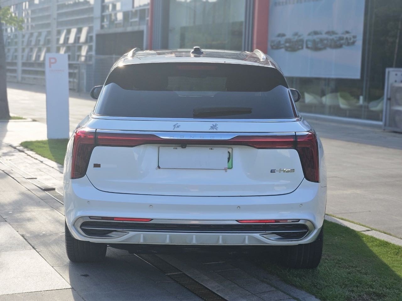 红旗 2022款 E-HS9 690km 旗享版6座