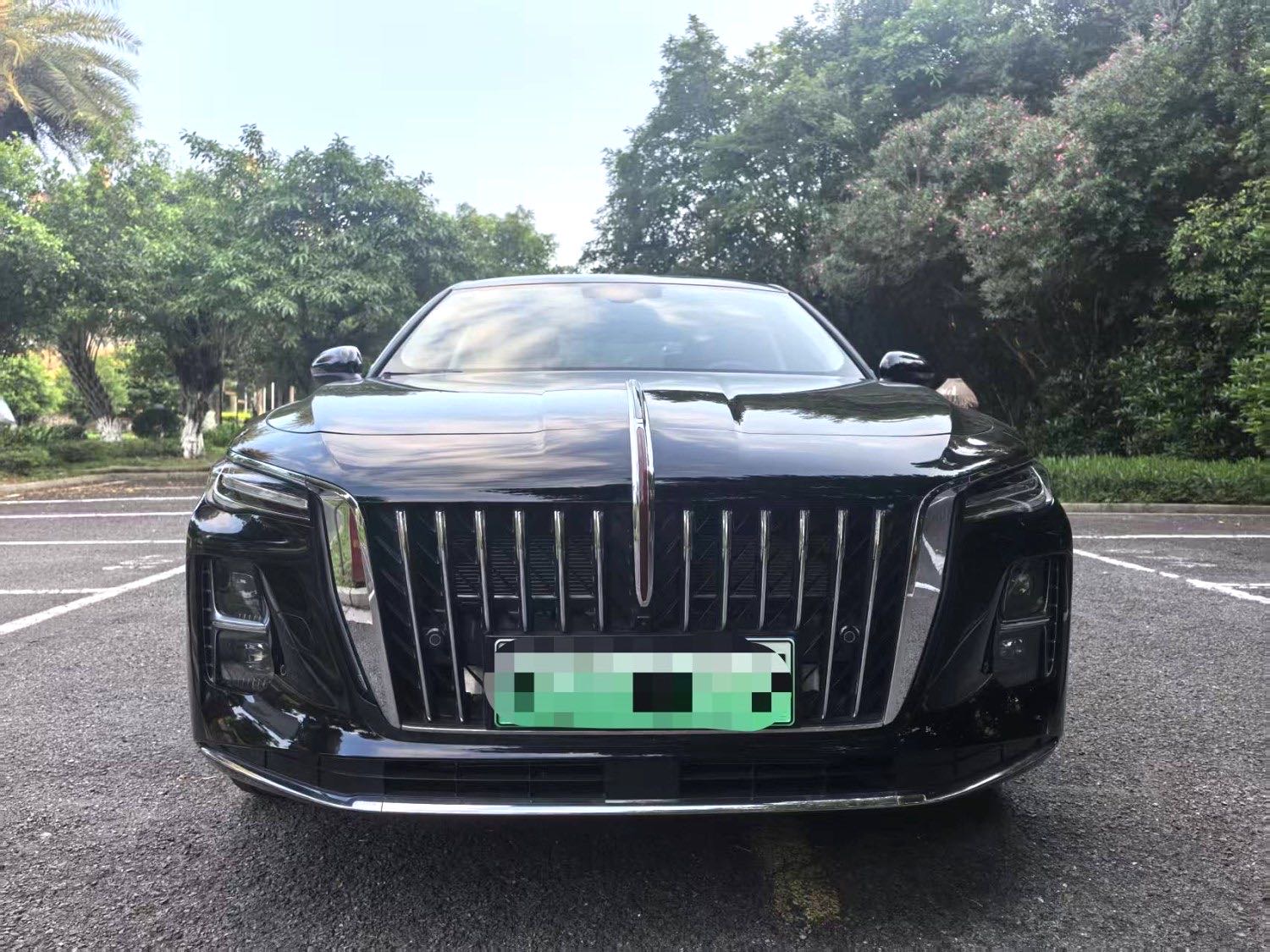 Hongqi H5 PHEV 2025 1.5T 130 Government