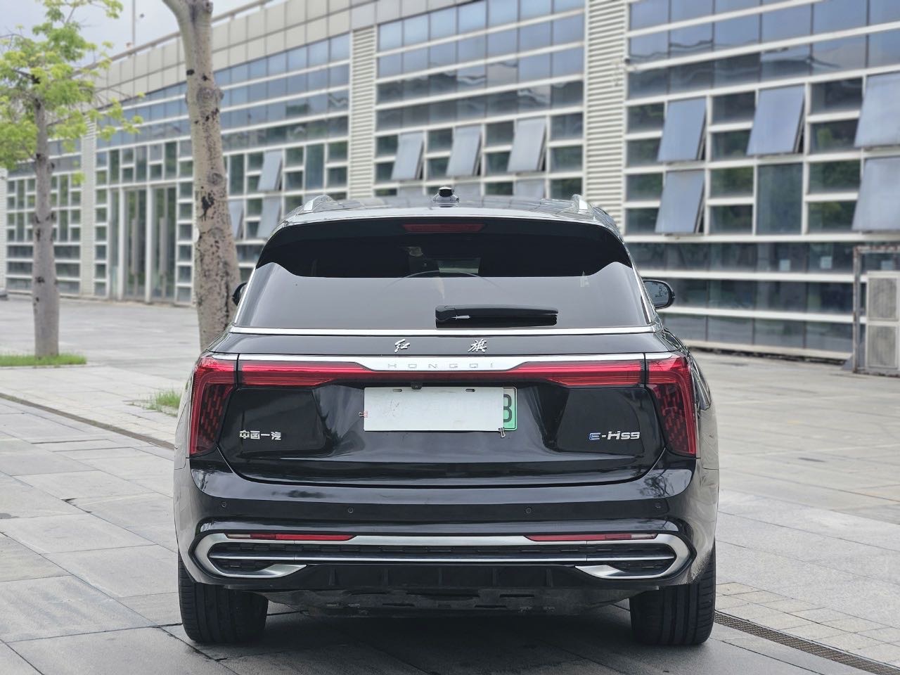 红旗 2022款 E-HS9 690km 旗享版6座