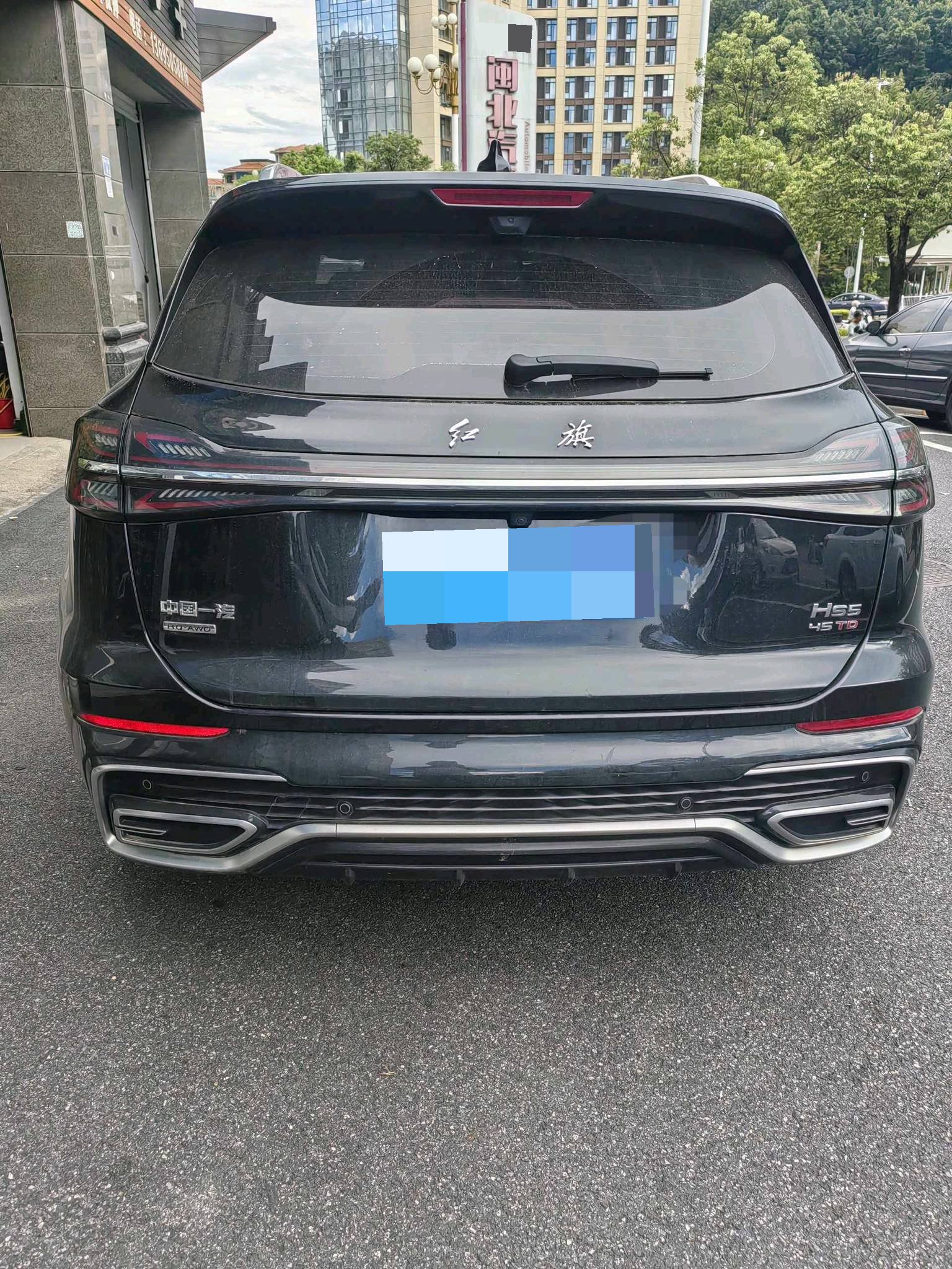Hongqi HS5 2023 2.0T 4WD Qixiang Pro