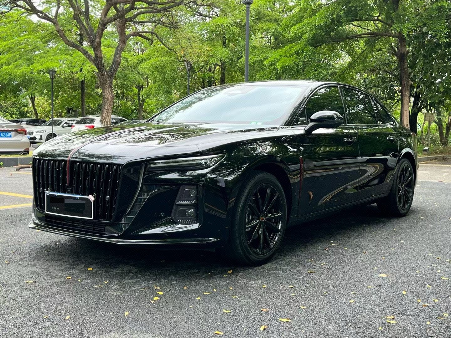 红旗 2025款 H5 2.0T 玄影版