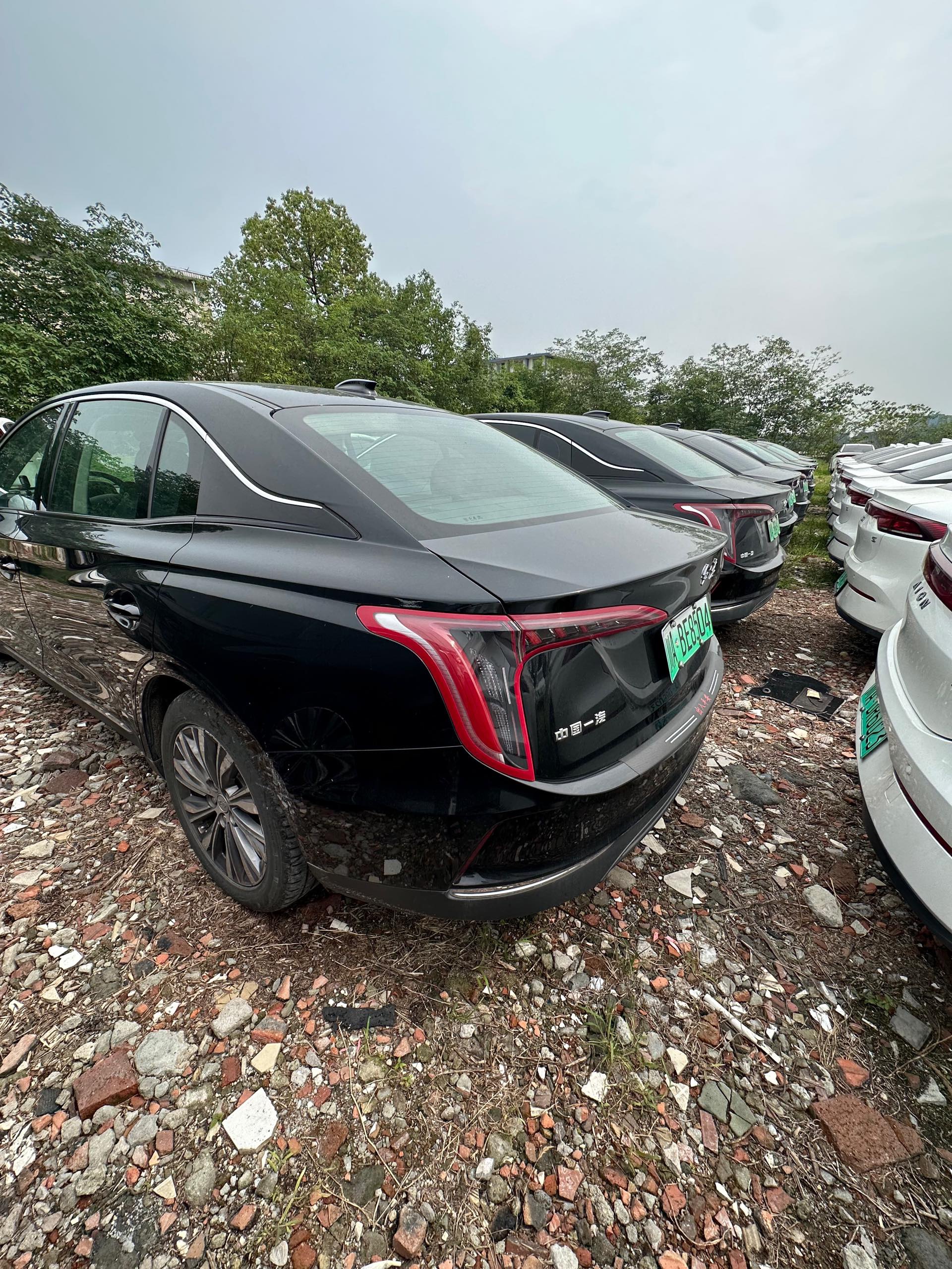 Hongqi E-QM5 2024 500km Travel Edition