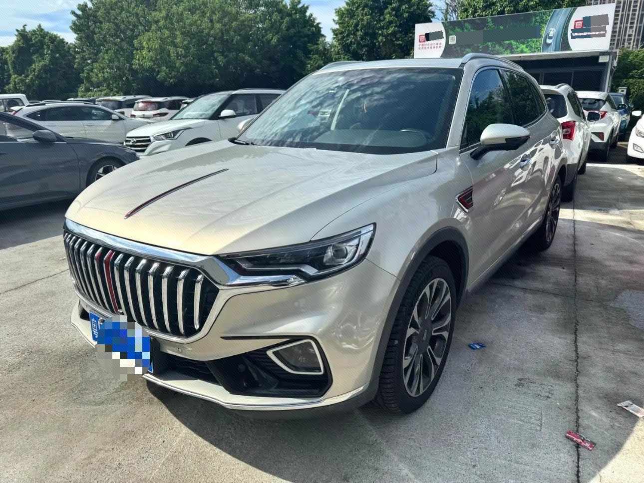 Hongqi HS5 2019 2.0T Four-Wheel Drive Smart Connect Flagship Enjoyment