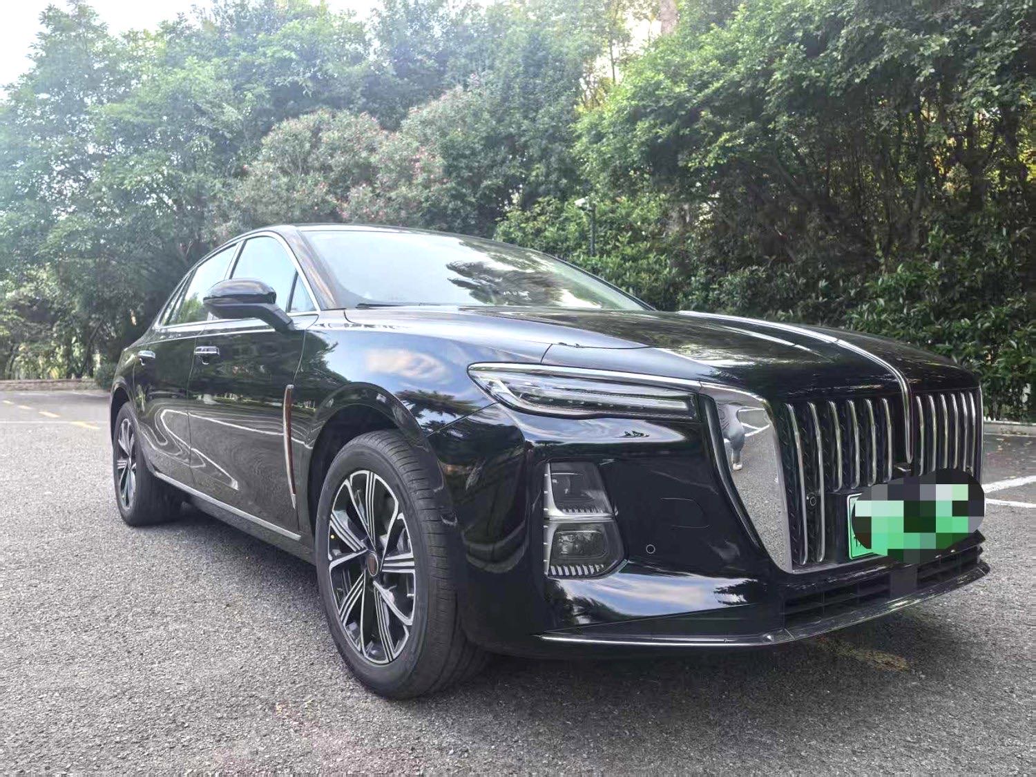 Hongqi H5 PHEV 2025 1.5T 130 Government
